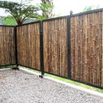 Bamboo fence