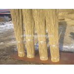 water reed bundles
