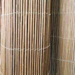 willow fence 2