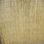 Reed Cane